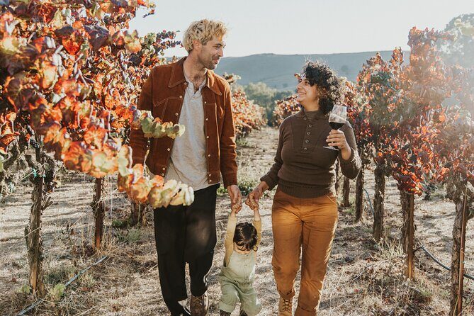 Small Group: Ultimate Napa and Sonoma Wine Tour- San Francisco - Final Thoughts: Who Will Love This Tour?