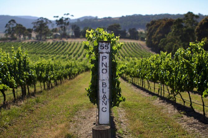 Small Group: Ultimate Yarra Valley Food and Wine - Final Thoughts