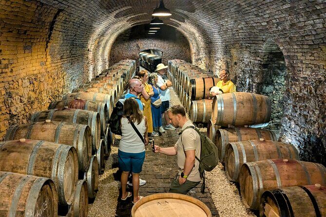 Small-group Vienna Wine Tour - Exploring Vienna’s UNESCO World Heritage Site with a Local Expert