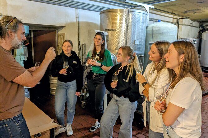 Small-group Vienna Wine Tour - The Practical Side: Price, Duration, and Booking