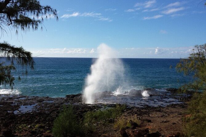 Small-Group Waimea Canyon Adventure Tour & Beyond with Lunch - Key Points