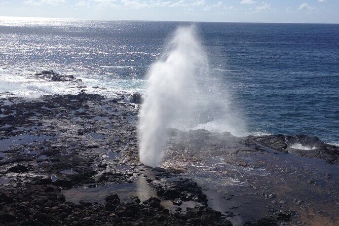 Small-Group Waimea Canyon Adventure Tour & Beyond with Lunch - The Practical Details: What You Need to Know