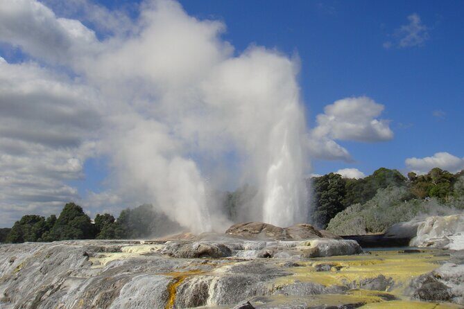 Small Group Waitomo and Rotorua including Te Puia Tour - Key Points