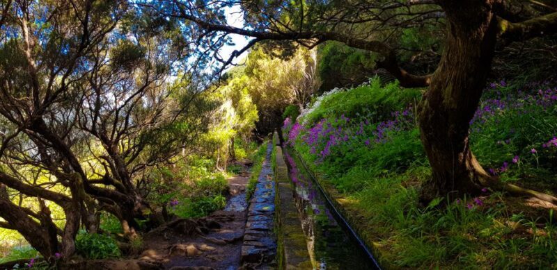 Small Group Walks Rabaçal 25 Fontes - The Itinerary and Experience