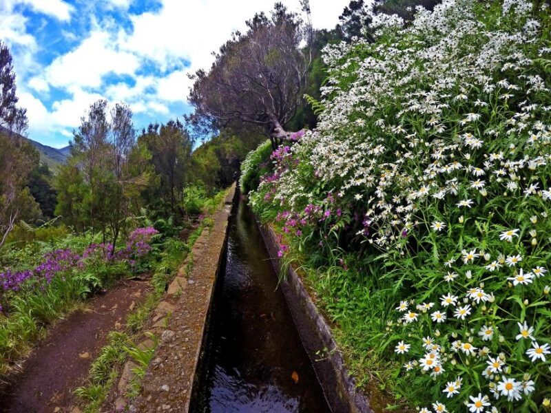 Small Group Walks Rabaçal 25 Fontes - Who Will Love This Experience?