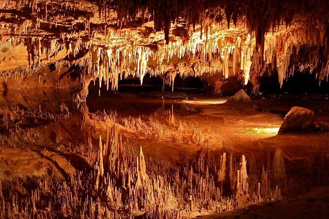 Small Group Washington DC to Shenandoah &Luray Caverns 1-Day Trip - A Scenic Escape to Virginia’s Natural Wonders