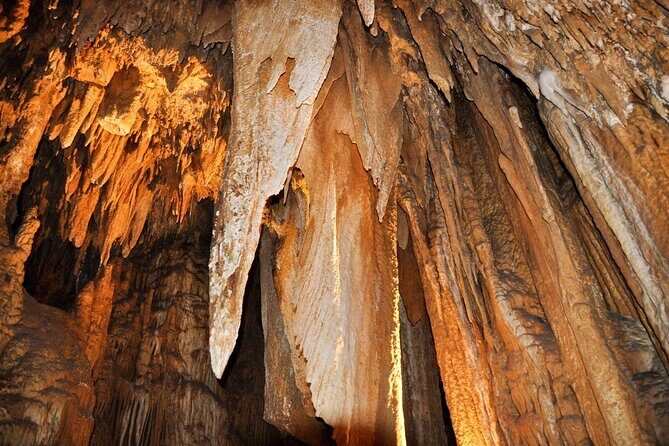 Small Group Washington DC to Shenandoah &Luray Caverns 1-Day Trip - FAQ