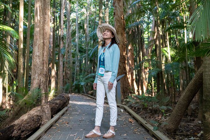 Small Group Waterfall Wetlands+ Skyrail All Inclusive from Cairns - A Day of Natural Wonder and Cultural Insight in Cairns