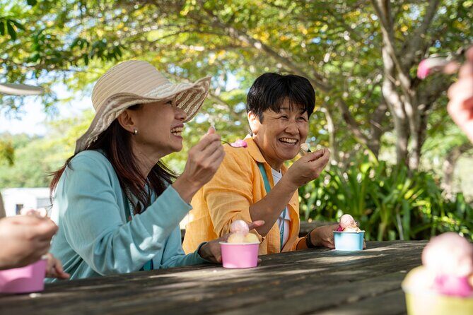 Small Group Waterfall Wetlands+ Skyrail All Inclusive from Cairns - Key Points