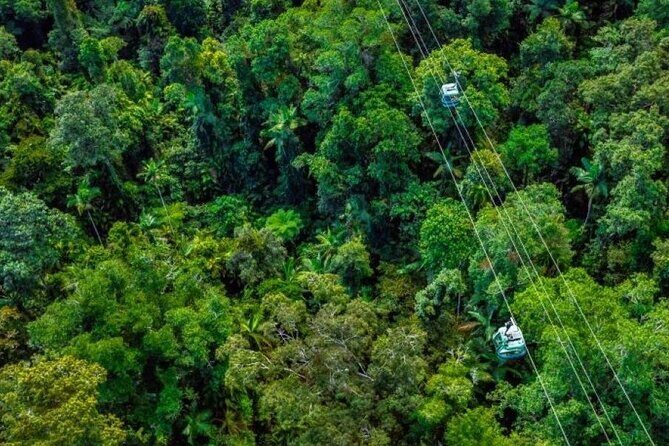 Small Group Waterfall Wetlands+ Skyrail All Inclusive from Cairns - The Real Value of the Tour