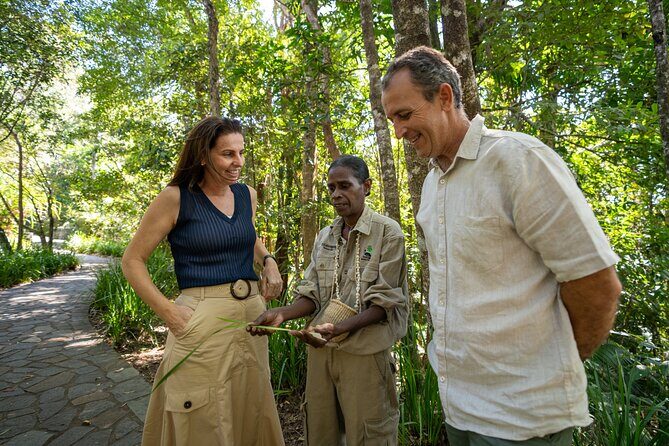 Small Group Waterfall Wetlands+ Skyrail All Inclusive from Cairns - The Experience in Detail: What to Expect