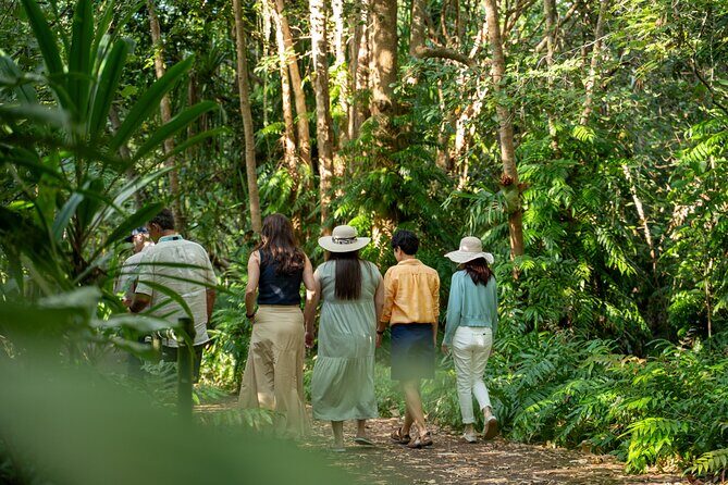 Small Group Waterfall Wetlands+ Skyrail All Inclusive from Cairns - FAQ