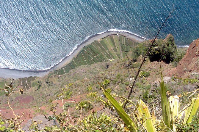 Small Group West Tour Waterfalls & Fanal Forest Tour - FAQs