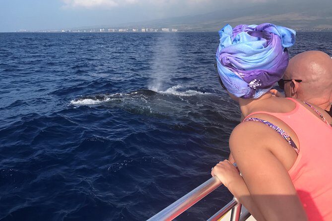 Small-Group Whale Watching Adventure - In-Depth Review of the Maui Whale Watching Experience