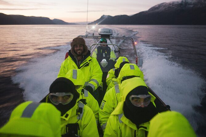 Small Group Whale Watching by RIB - Who Is This Tour Best For?