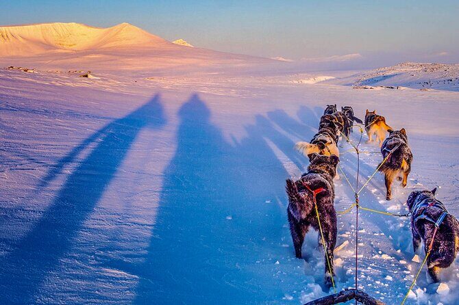 Small Group Wilderness Husky Sledding 2h from Tromsø (car needed) - An In-Depth Look at the Husky Sledding Experience
