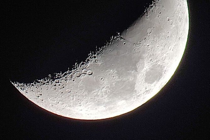 Small Group Wildlife Refuge Monteverde Night Walking Tour - Who Should Consider This Tour?