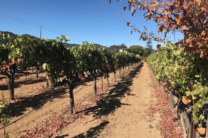 Small-Group Wine Country Tour from San Francisco with Tastings - Final Thoughts