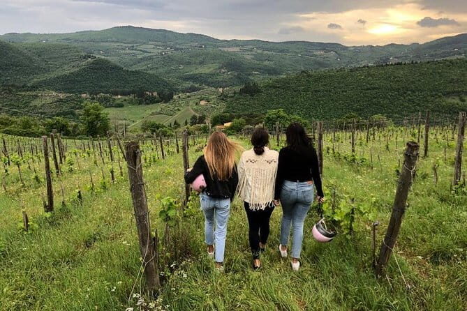 Small Group Wine Tasting in Tuscany with Vineyard Visit - Why This Tour Offers Great Value