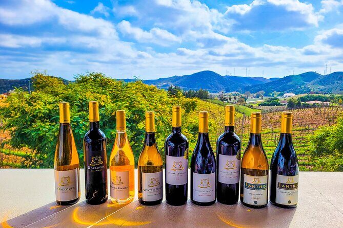 Small group Wine Tasting Tour from Lagos - Key Points