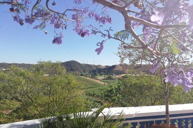 Small-Group Wine Tour & Silves Exploration (from Albufeira) - What to Expect and Tips for Enjoyment