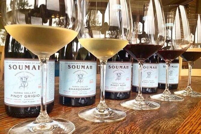 Small Group Yarra Valley: Redwoods Forest & Premium Wine Tour - A detailed look at this Yarra Valley tour