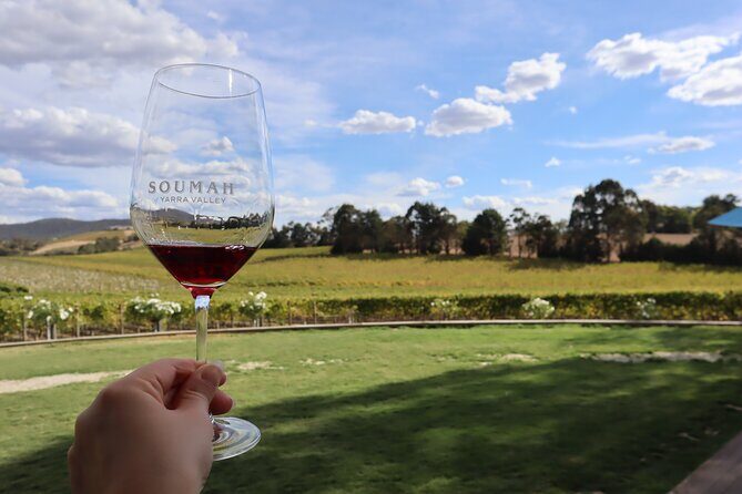 Small Group Yarra Valley: Redwoods Forest & Premium Wine Tour - Who should consider this tour?