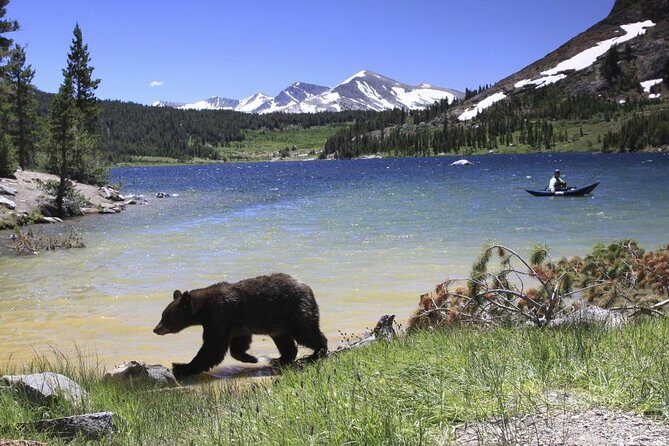 Small Group Yosemite and Giant Sequoias Day Trip from San Francisco - Who Should Consider This Tour?