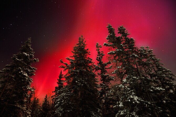 Small Group Yukon Aurora Viewing - Key Points