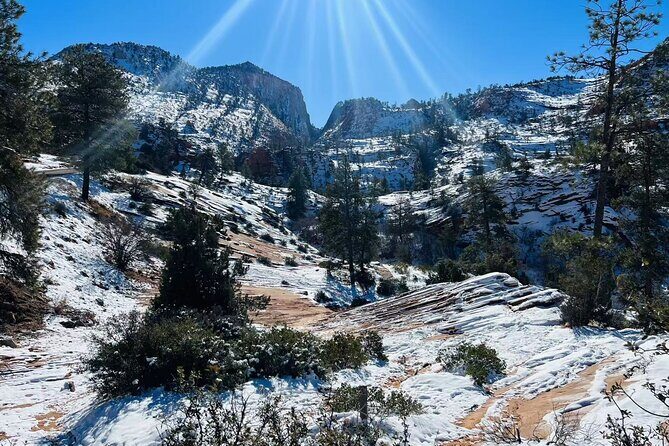 Small Group Zion National Park Hiking Tour from Las Vegas - Who Should Book This Tour?