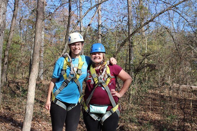 Small-Group Zipline Tour in Hot Springs - What To Expect During the Tour