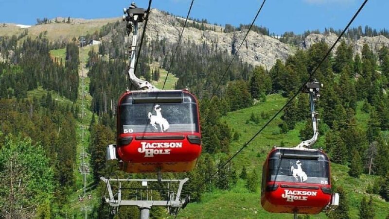 Small Group:4 or 5-Day Yellowstone&Grand Teton Tour from SLC - Discover the Natural Wonders of Yellowstone & Grand Teton in a Small Group Tour from Salt Lake City