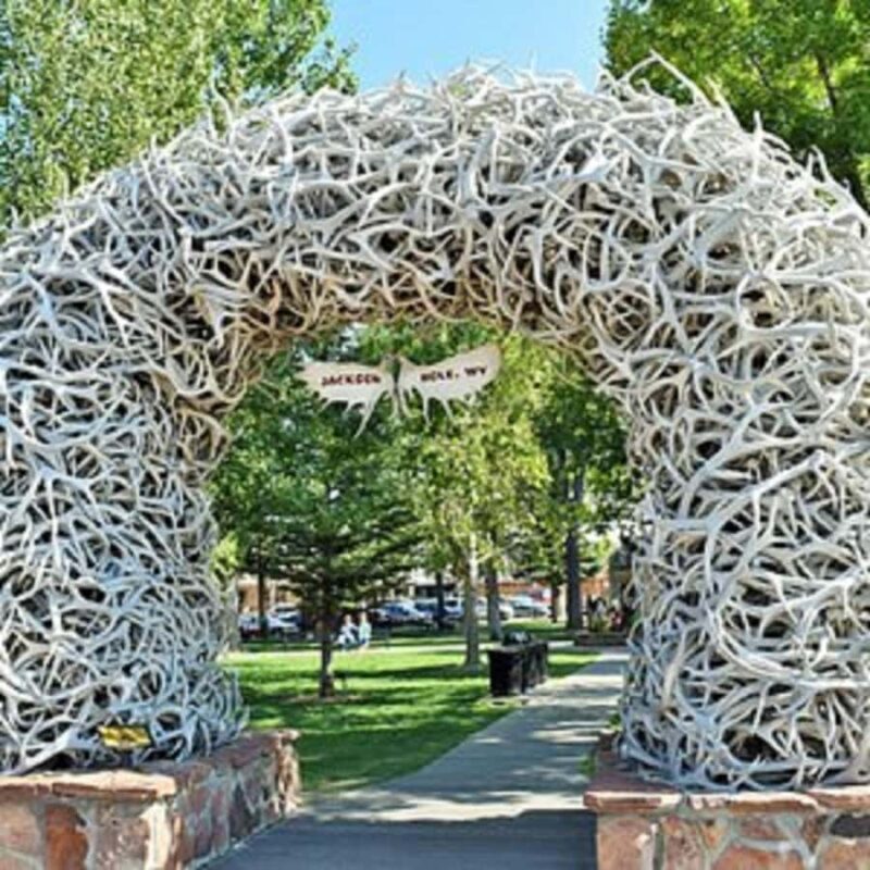 Small Group:4 or 5-Day Yellowstone&Grand Teton Tour from SLC - Key Points