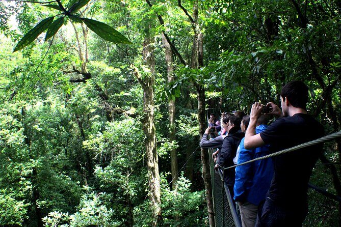 Small Groups Birding at Monteverde Cloud Forest - Why This Tour Offers Great Value