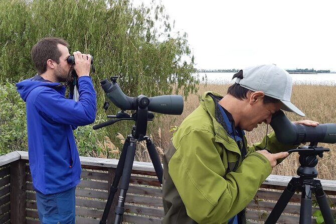 Small Groups Birding at Monteverde Cloud Forest - Who Should Consider This Tour?