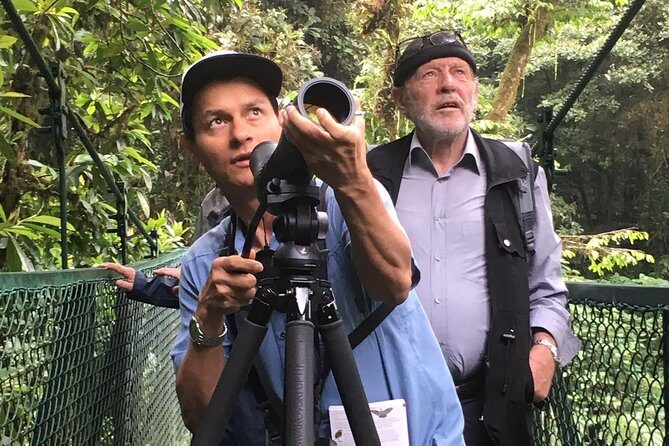 Small Groups Birding at Monteverde Cloud Forest - The Sum Up