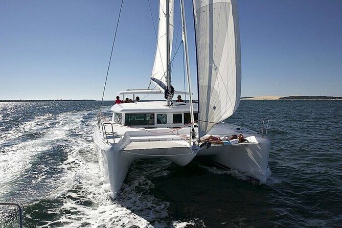 Small Private Catamaran Sunset Tours in San Diego - Key Points