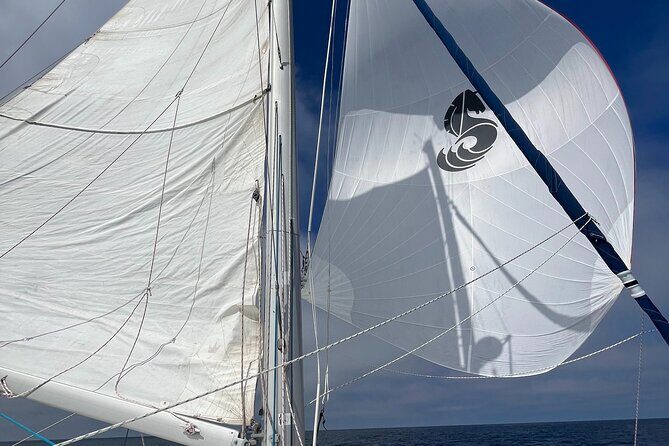 Small Private Catamaran Sunset Tours in San Diego - Why This Tour Offers Good Value