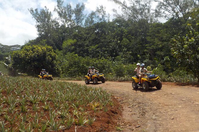 Small Quad Tour 2h30 Quad excursion in Moorea (single or two-seater) - Discovering Moorea on a Quad: An In-Depth Review