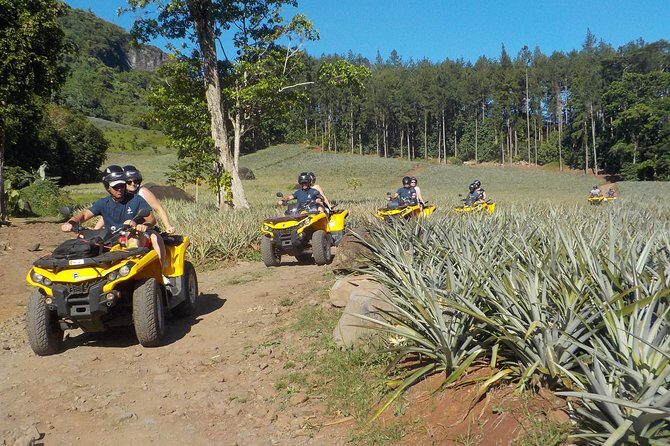 Small Quad Tour 2h30 Quad excursion in Moorea (single or two-seater) - Who Should Book This Tour?