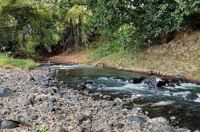 Small train tour of a banana farm in Martinique - Frequently Asked Questions
