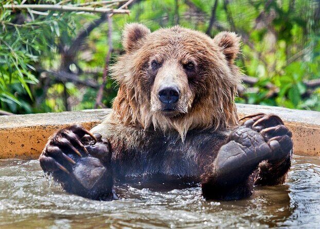 Smartphone Audio Driving Tour between Kamloops & Revelstoke - Discovering the Kamloops to Revelstoke Scenic Drive with a Smartphone Audio Tour