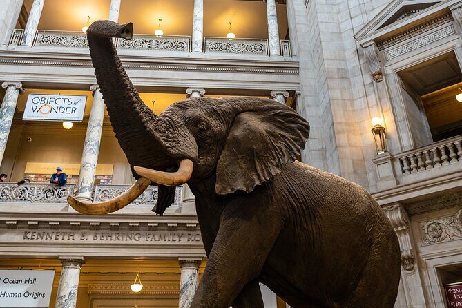 Smithsonian Highlights Walking Tour w/ Reserved Air & Space Entry - Practical Details and What to Expect