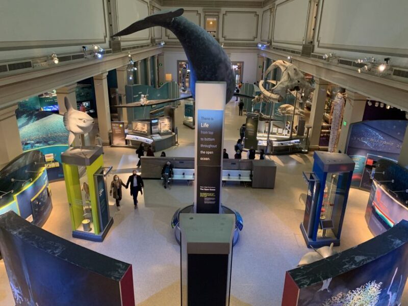 Smithsonian National Museum of Natural History Guided Tour - A Guided Journey Through the Smithsonians Natural Wonders