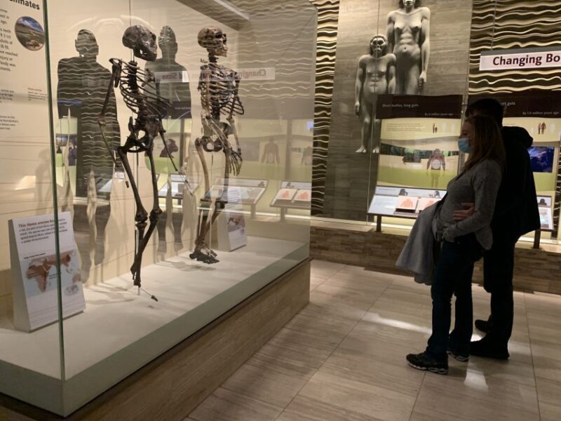 Smithsonian National Museum of Natural History Guided Tour - Who Should Consider This Tour?