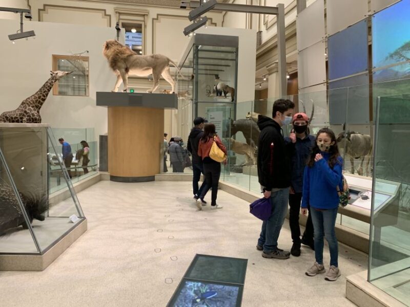Smithsonian National Museum of Natural History Guided Tour - Final Thoughts