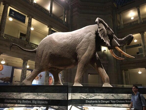 Smithsonian National Museum of Natural History with Guided Tour - Key Points