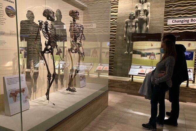 Smithsonian National Museum of Natural History with Guided Tour - An In-Depth Look at the Smithsonian Tour Experience