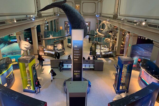 Smithsonian National Museum of Natural History with Guided Tour - Breaking Down the Itinerary