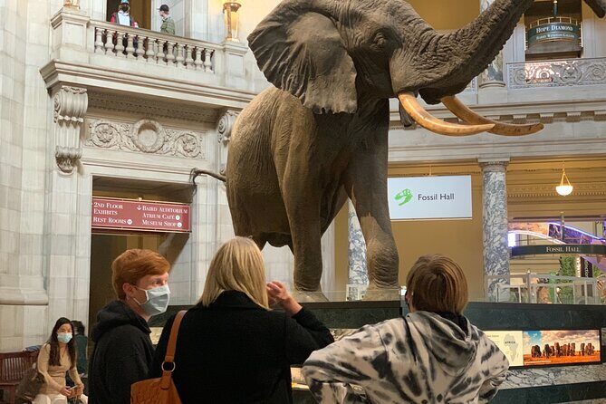 Smithsonian National Museum of Natural History with Guided Tour - Who Will Benefit Most from This Tour?